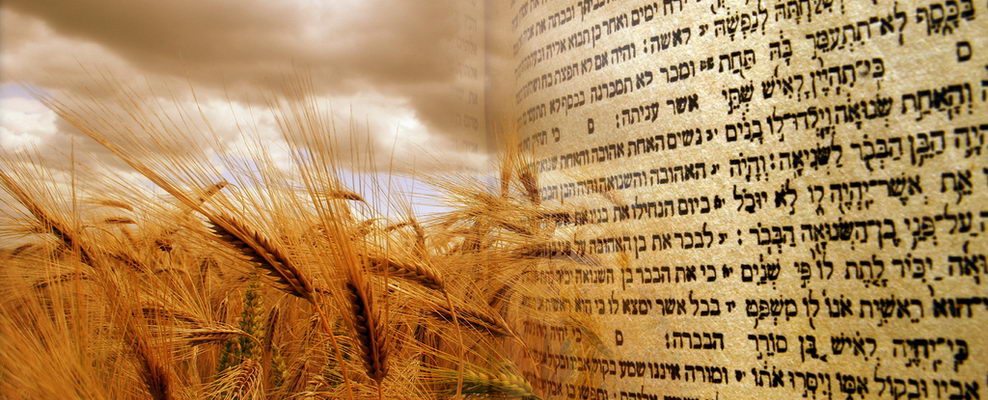 Sabbath Bible